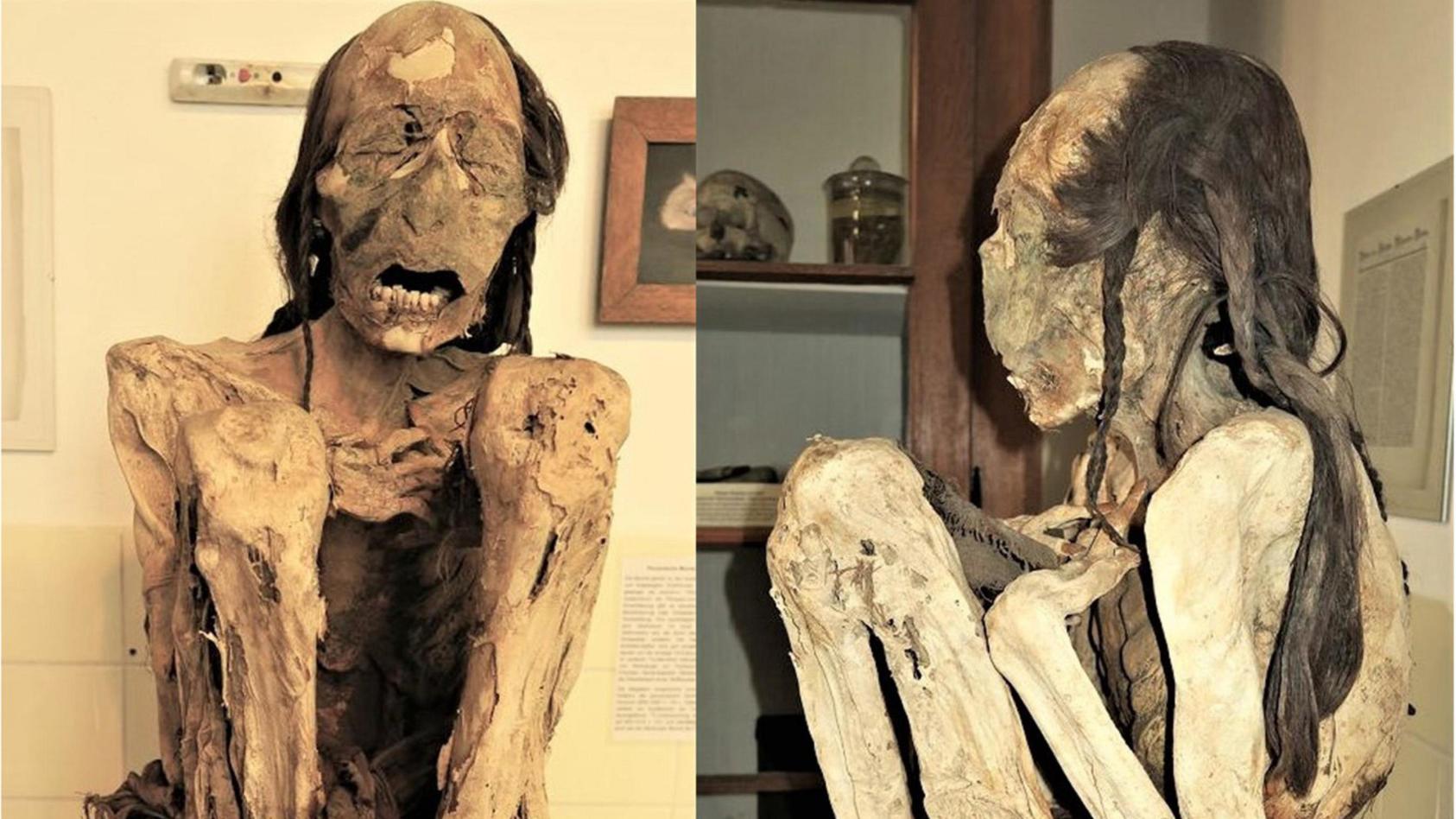 HANDOUT - 09.09.2022, Marburg: Die Marburger männliche Mumie. In wissenschaftlicher Detektivarbeit haben Forscher den Hergang etwa tausend Jahre zurückliegender tödlicher Verbrechen aufgedeckt. Sie untersuchten südamerikanische Mumien im 3D-Computert