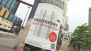 frankfurt-ordnungsamt-findet-27-verwahrloste-hunde-bei-unserioesen-online-haendlern