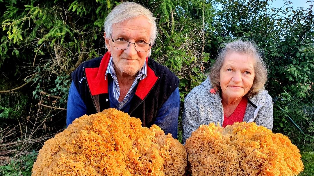 Das Ehepaar zeigt stolz den Pilz.