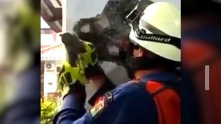 suesser-labrador-crasht-hochzeit-der-vierbeiner-ist-noch-aufgeregter-als-das-brautpaar