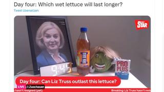 Liz Truss vs. Salat: Wer kann sich länger halten, fragen sich gerade die Briten.