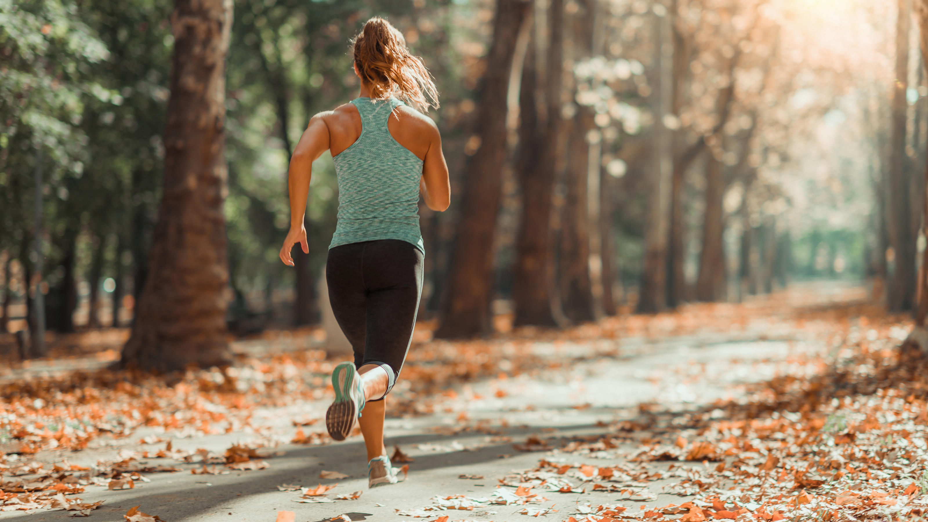 Damen-Laufschuhe: Joggerin läuft an einem herbstlichen Tag durch den Wald.
