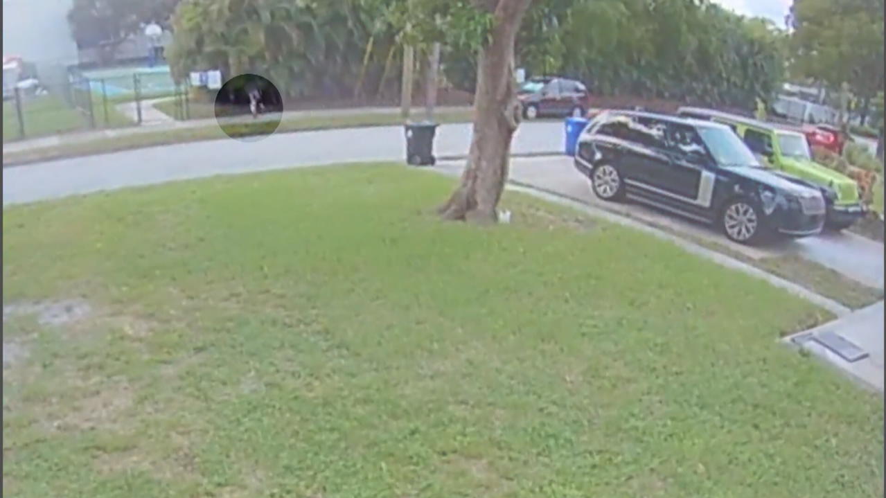 Is there a kidnapper chasing a little girl?  Police release surveillance video