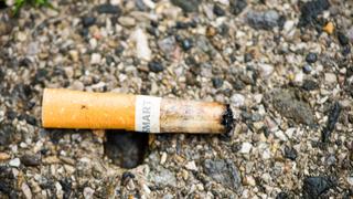 Zigaretten-Kippe mit Aufschrift smart , Sandstrasse, Muenchen. 30.10.2014  