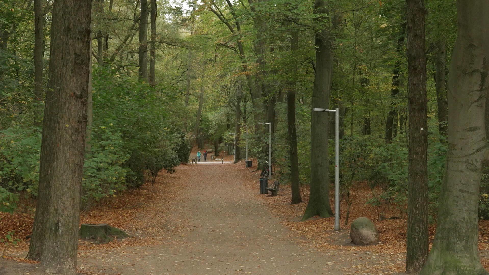 Behördenirrsinn in Hamburger Park bringt kein Licht ins Dunkel - dabei stehen die Laternen schon.