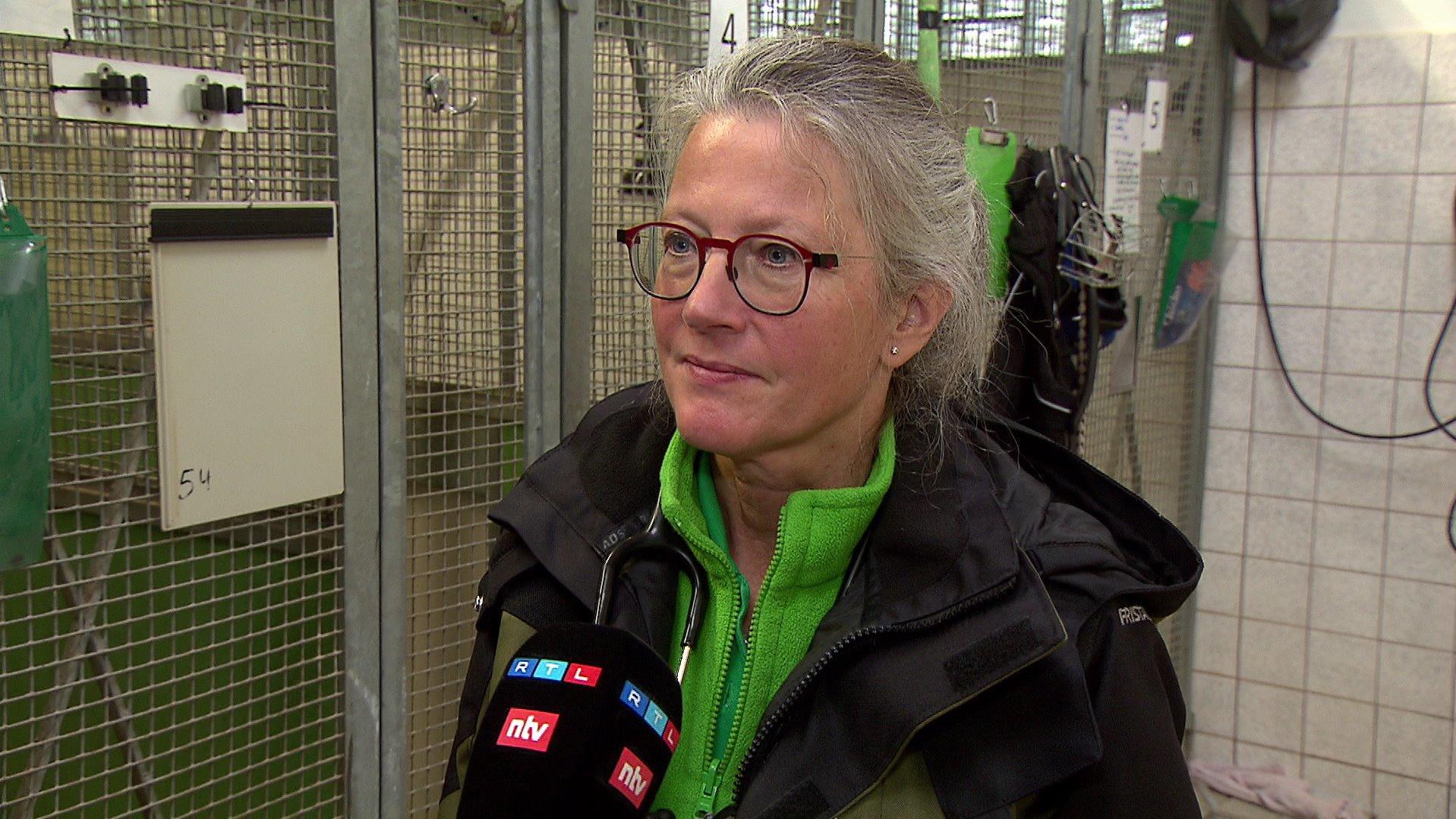 Immer wieder kommen Welpen aus illegalem Handel beim Hamburger Tierschutzverein an. Tierärztin Urte Inkmann warnt Hundekäufer.