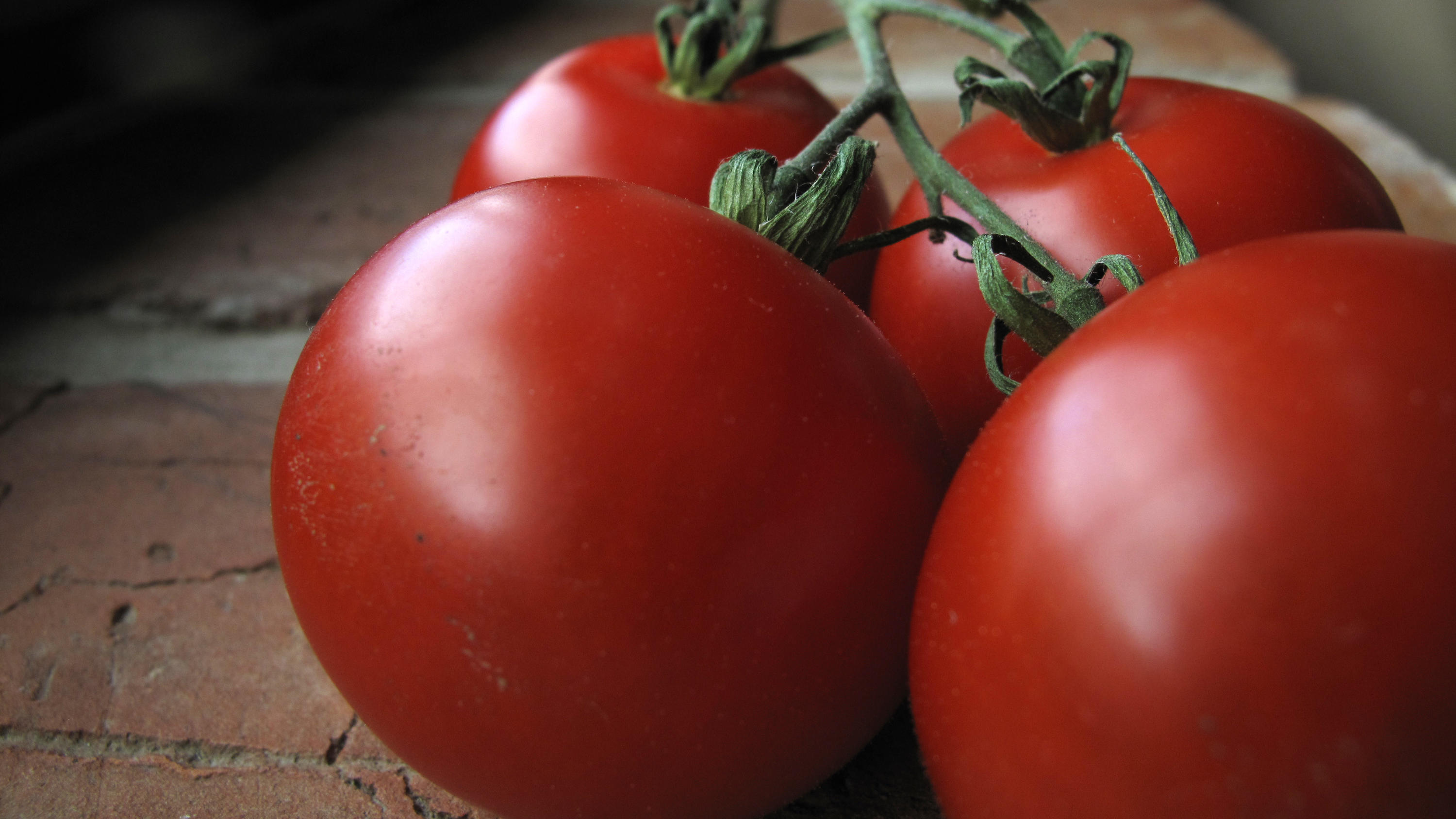 Kalte Tomaten verlieren schnell ihr Aroma.