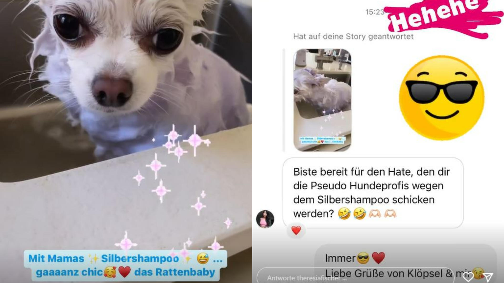 Theresia Fischer wäscht ihren Hunde mit Silbershampoo