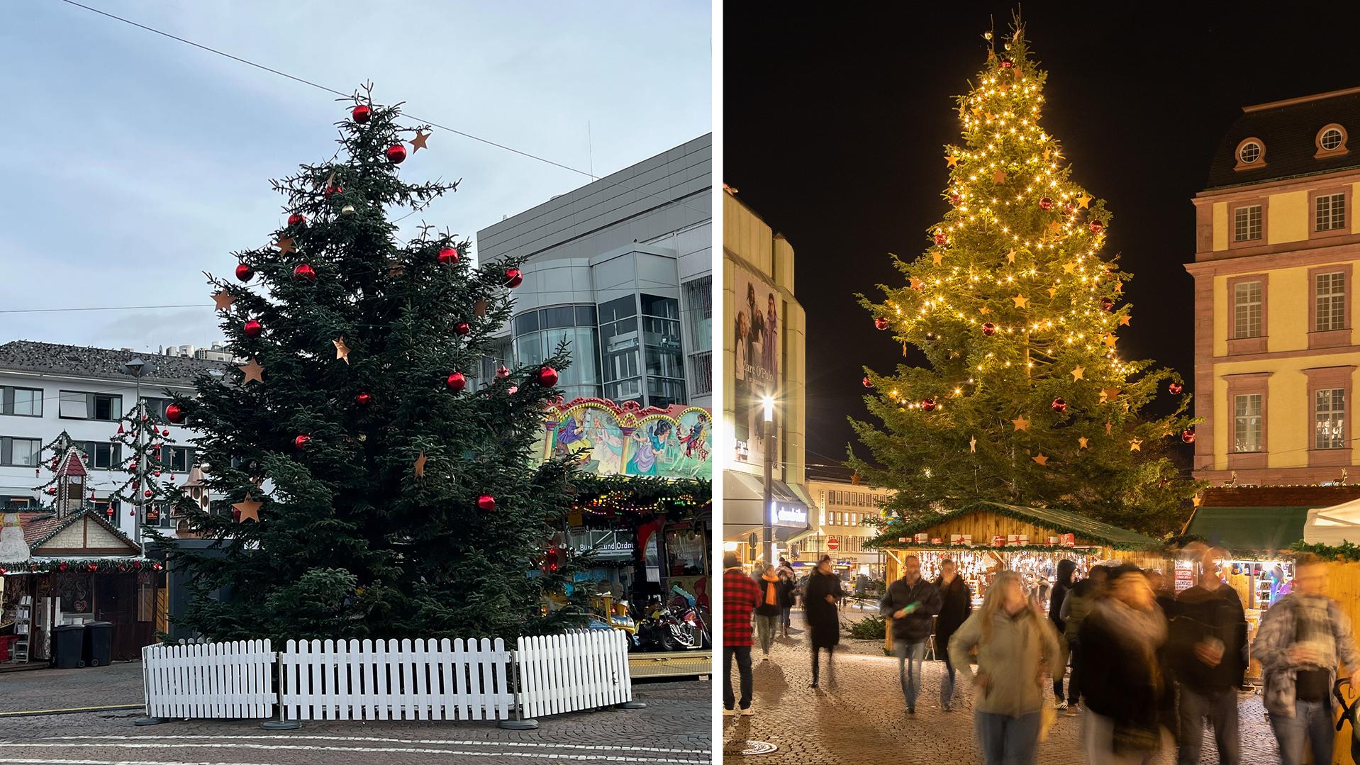 TraumTanne gesucht Welche Stadt hat den schönsten Weihnachtsbaum?