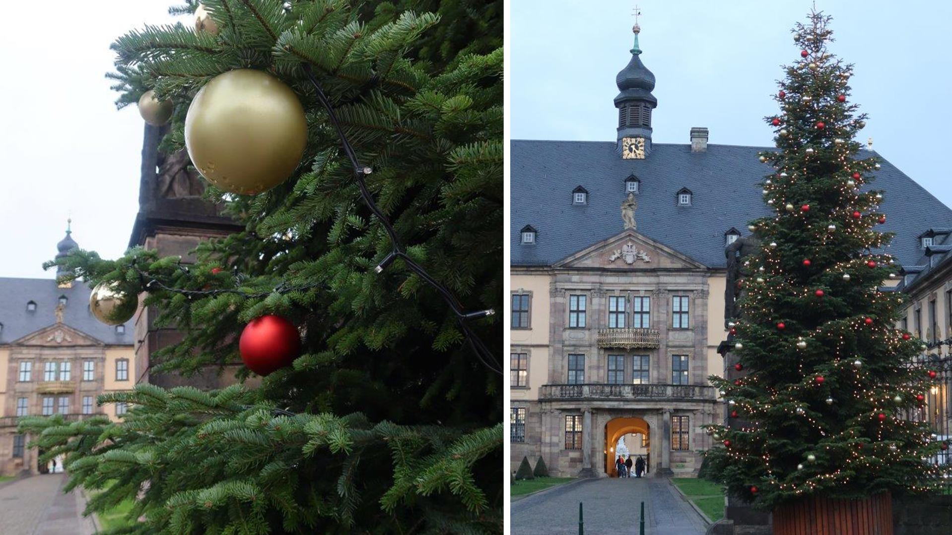 TraumTanne gesucht Welche Stadt hat den schönsten Weihnachtsbaum?