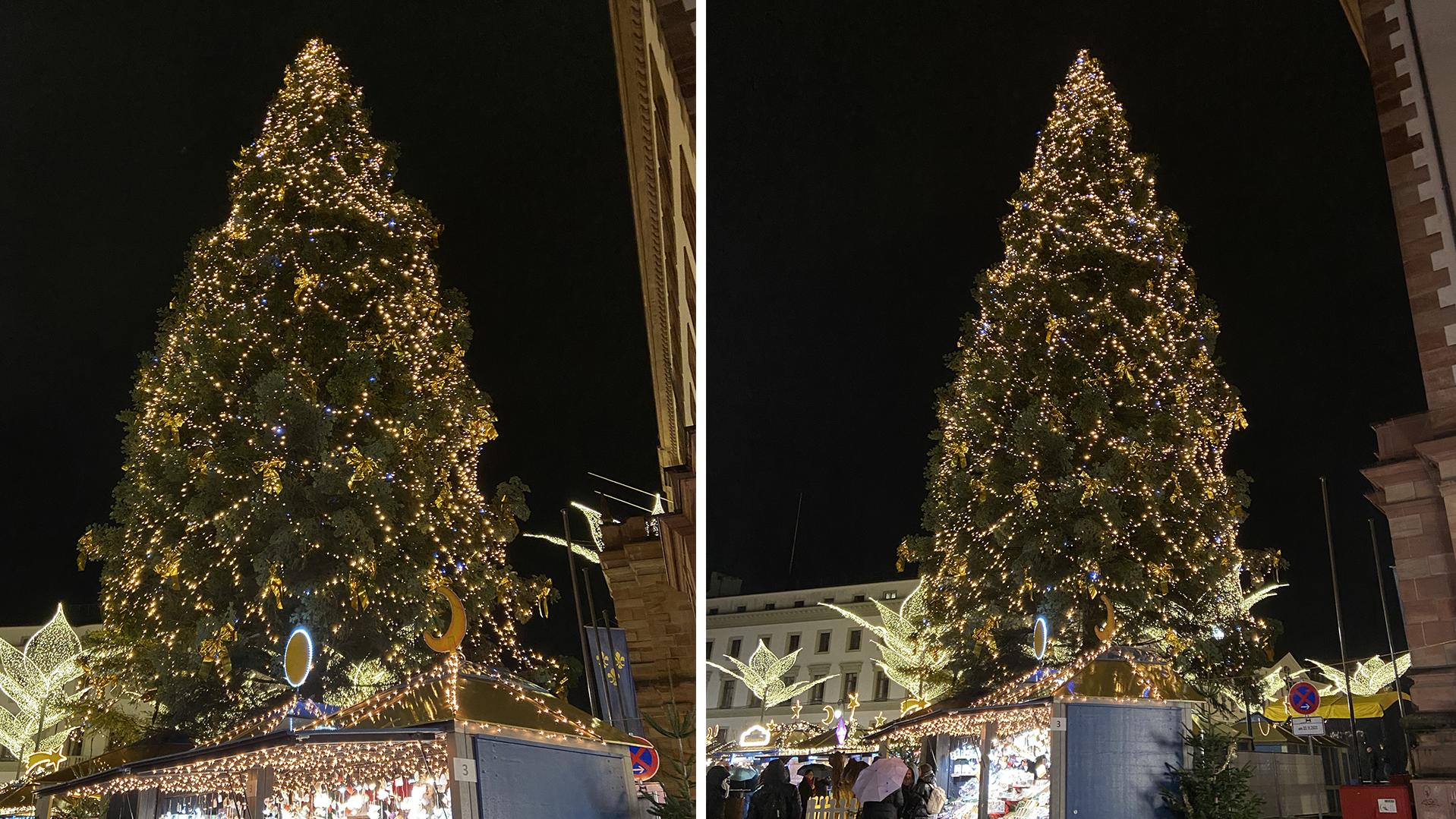 TraumTanne gesucht Welche Stadt hat den schönsten Weihnachtsbaum?