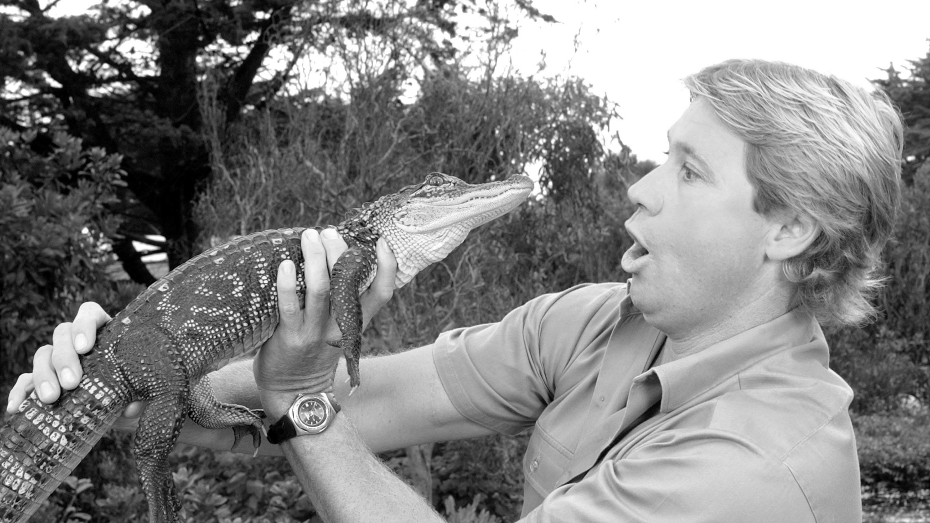Steve Irwin lebte ein riskantes Leben - ständig begab er sich für seine Show in Gefahr.