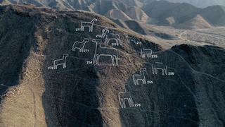 A general view shows mapping of the Nazca lines images found in the Nazca as part of research led by Peruvian and Japanese researchers from Yamagata University who discovered 168 new designs at the UNESCO World Heritage site on Peru's southern Pacific coast in this undated photo released on December 19, 2022 by Yamagata University/Handout via REUTERS    THIS IMAGE HAS BEEN SUPPLIED BY A THIRD PARTY NO RESALES. NO ARCHIVES