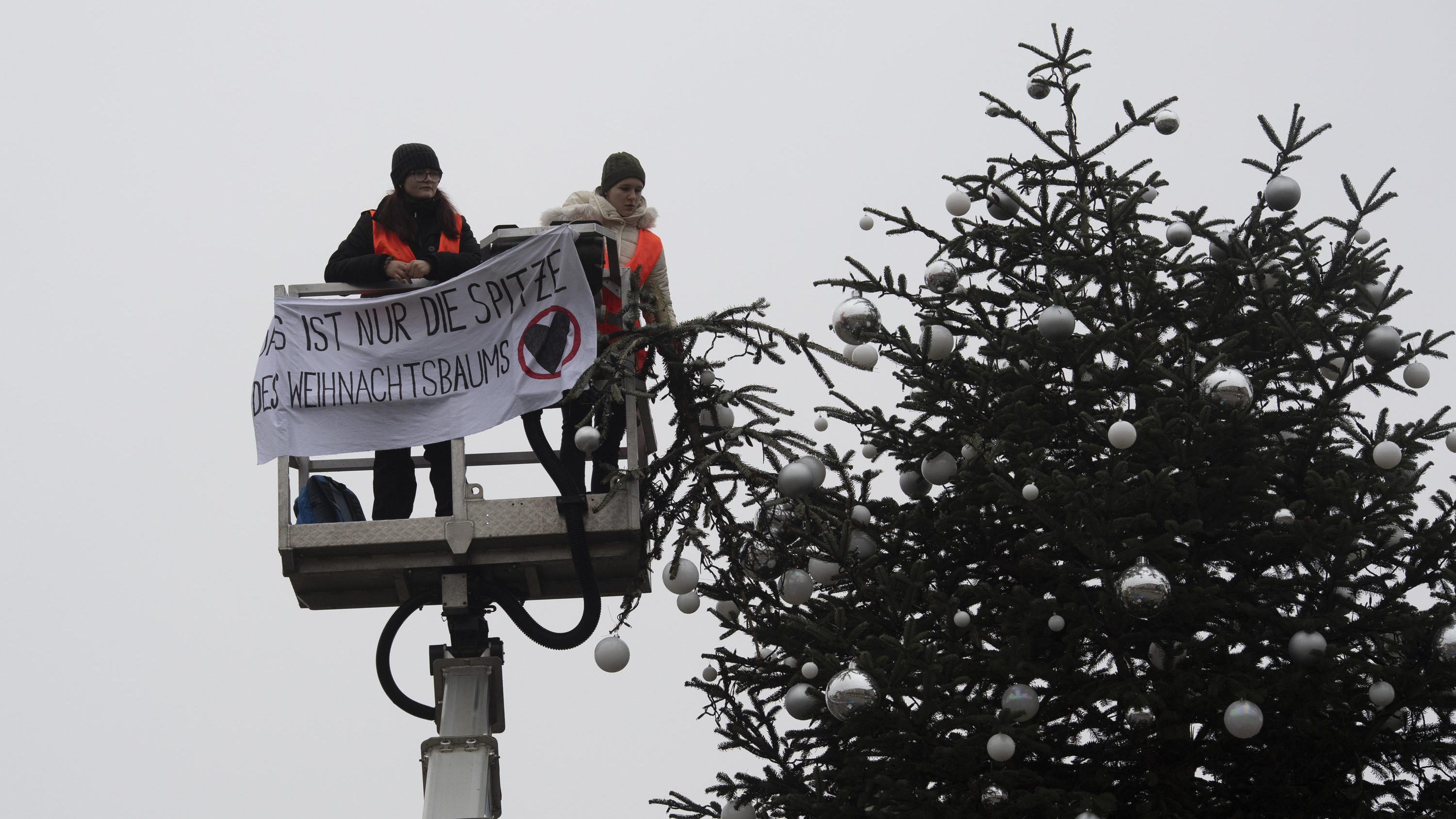 Klima-Kleber sägen Weihnachtsbaum am Brandenburger Tor die Spitze ab