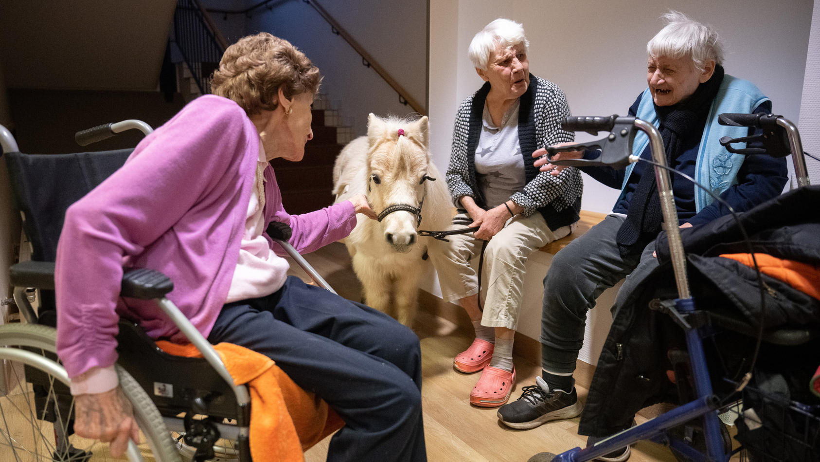 Shetland-Pony Toffee und ihre Freunde bringen Abwechslung in den Alltag der Senioren in der Frankfurter Pflegeeinrichtung Bürgermeister-Gräf-Haus.