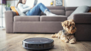 Der Staubsaugroboter saugt im Wohnzimmer, in dem sich eine Frau und ein Hund befinden.