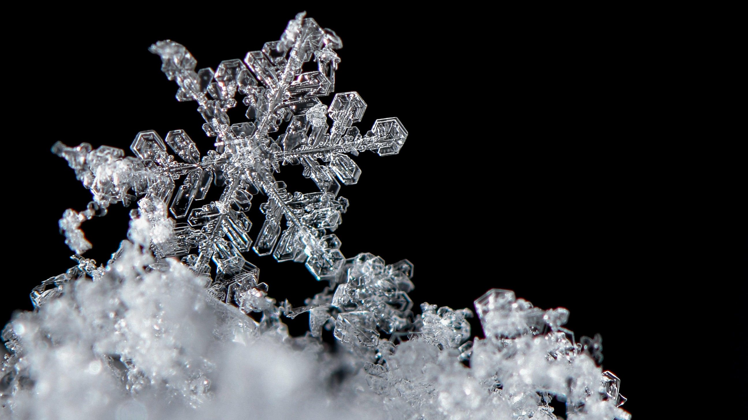 Ein Schneekristall, auch Schneeflocke genannt, liegt auf dem Boden im frisch gefallenen Schnee.