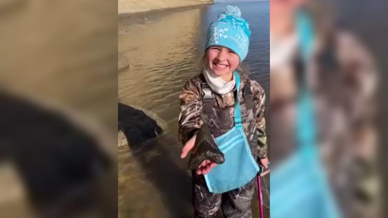 9-year-old finds giant tooth in sea
