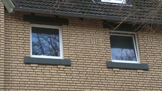 zum-ersten-mal-seit-50-000-jahren-gruener-komet-am-himmel-zu-sehen