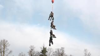 Höhenangst ist bei dem Job nicht angebracht: Polizisten schweben per Kran in Bäume und an einen Fahnenmast, um Aktivisten zum gehen zu bringen.