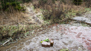 26.01.2023, Niedersachsen, Wunstorf: Blumen liegen an einer Tannenbaumschonung und einem Brachgelände in Wunstorf-Blumenau in der Region Hannover. Nach dem Fund der Leiche eines 14-jährigen Jungen in Wunstorf bei Hannover sind für die Ermittler noch viele Fragen offen. Tatverdächtig wird ein weiterer 14-jähriger Junge. Foto: Julian Stratenschulte/dpa +++ dpa-Bildfunk +++