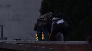 galgo-marsch-in-koeln-protest-mit-herrchen-und-hunden