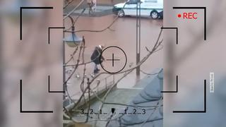 mann-25-behaelt-in-haus-zurueckgelassene-meerschweinchen-doch-aus-10-wurden-80