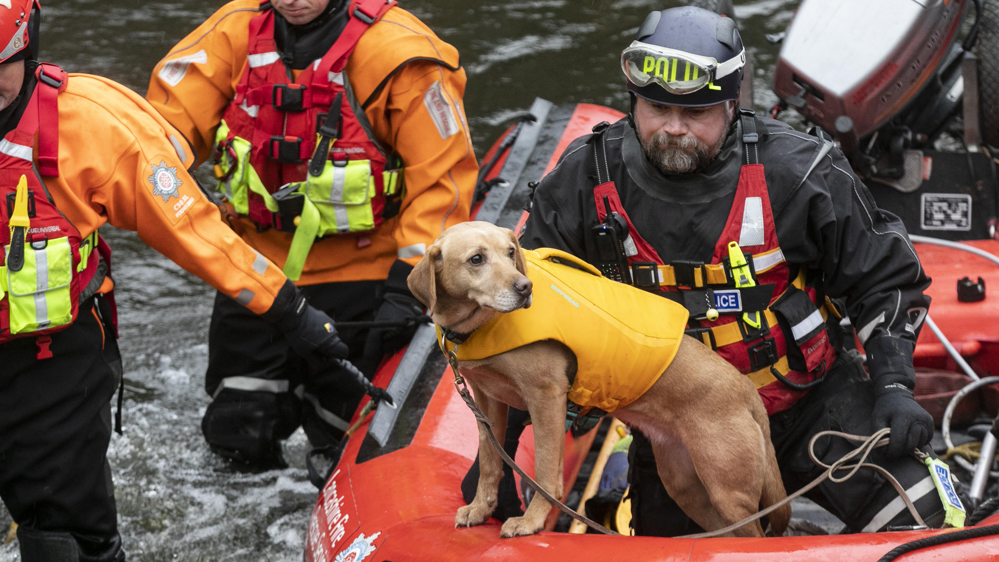 Auf der Suche nach Nicole Bulley kommen auch Hunde zum Einsatz.