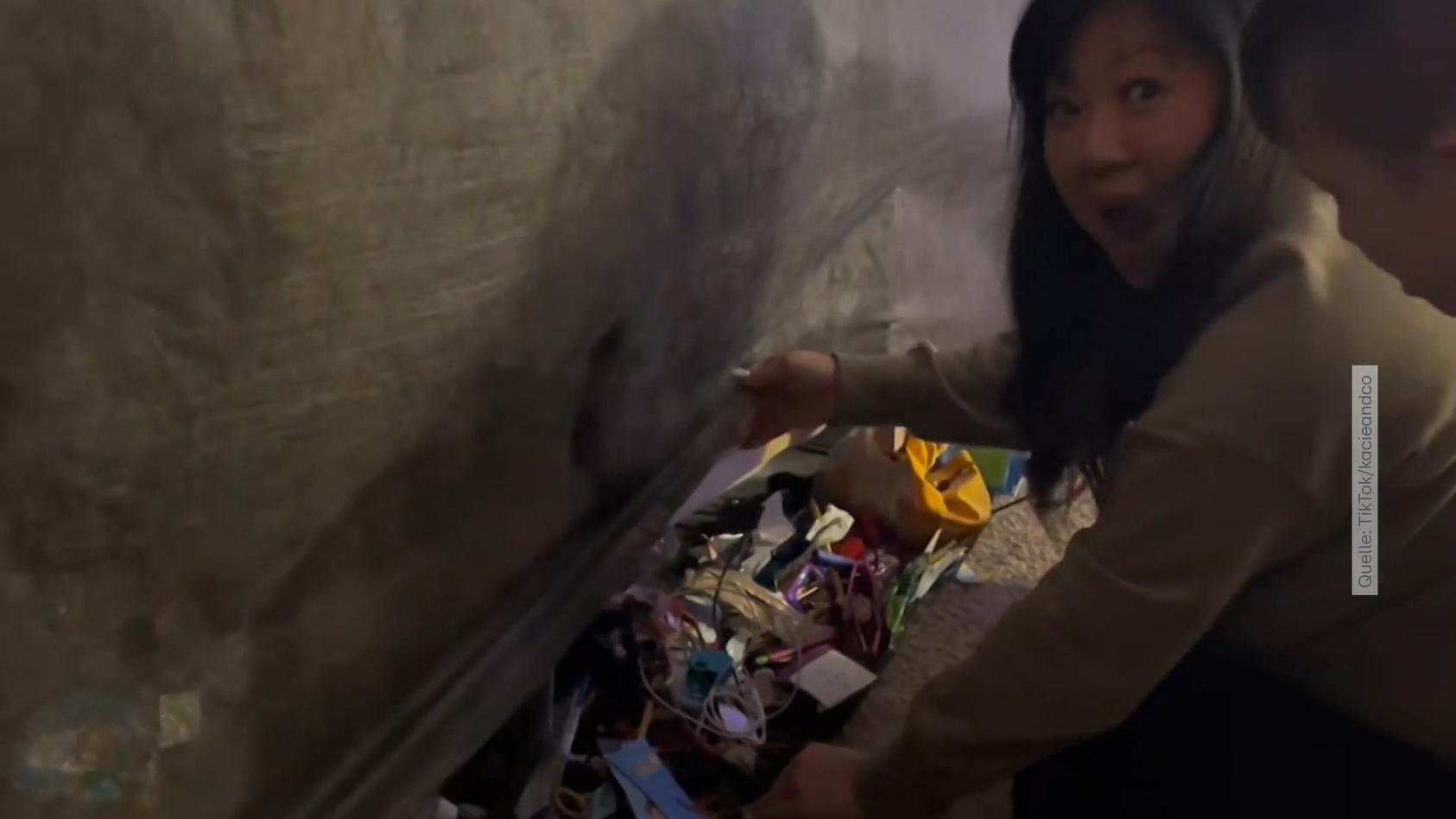 Angesammelt über mehrere Jahre - Mutter findet Müllhalde in Sofaritze