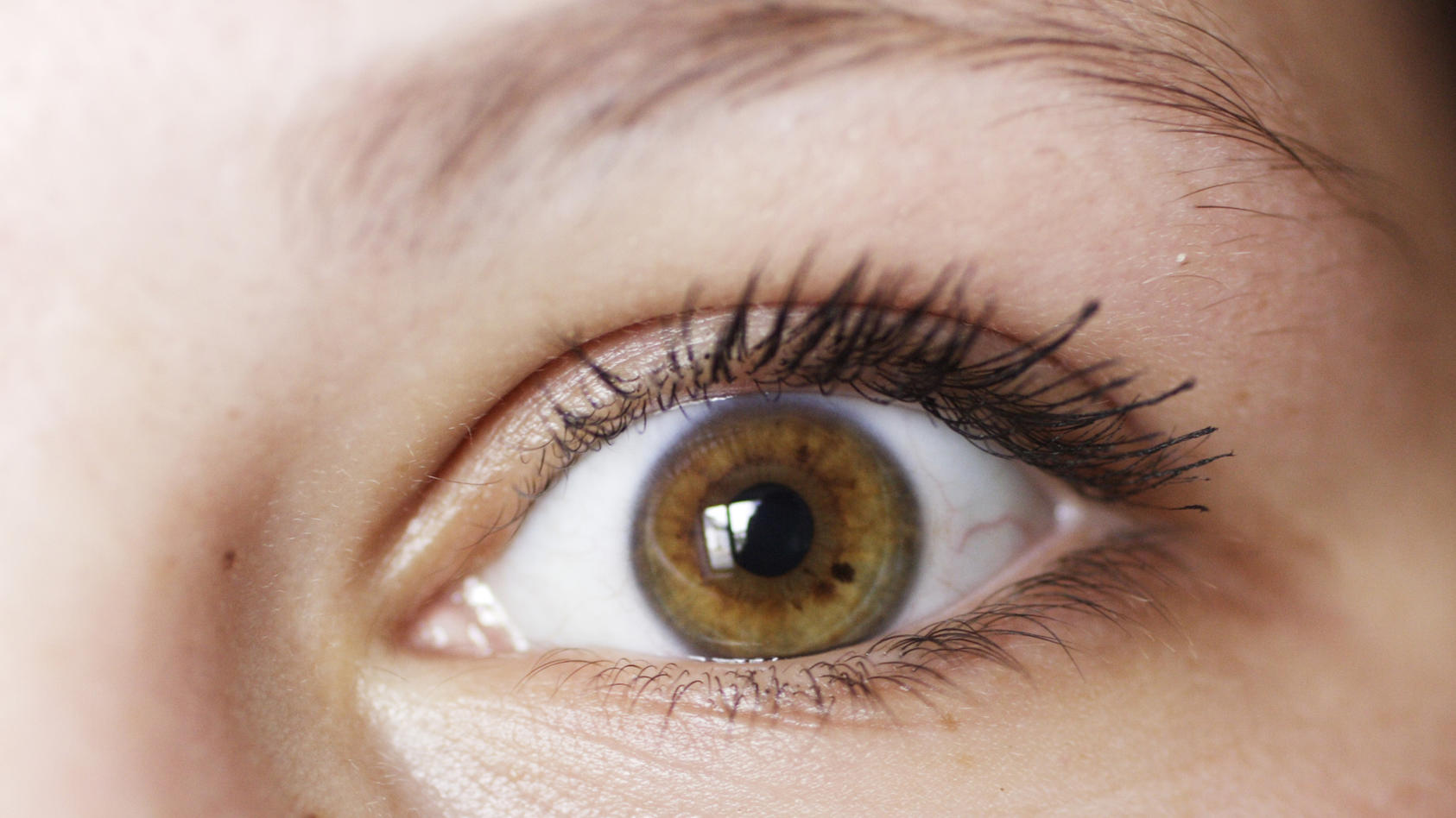 Augen im close-up