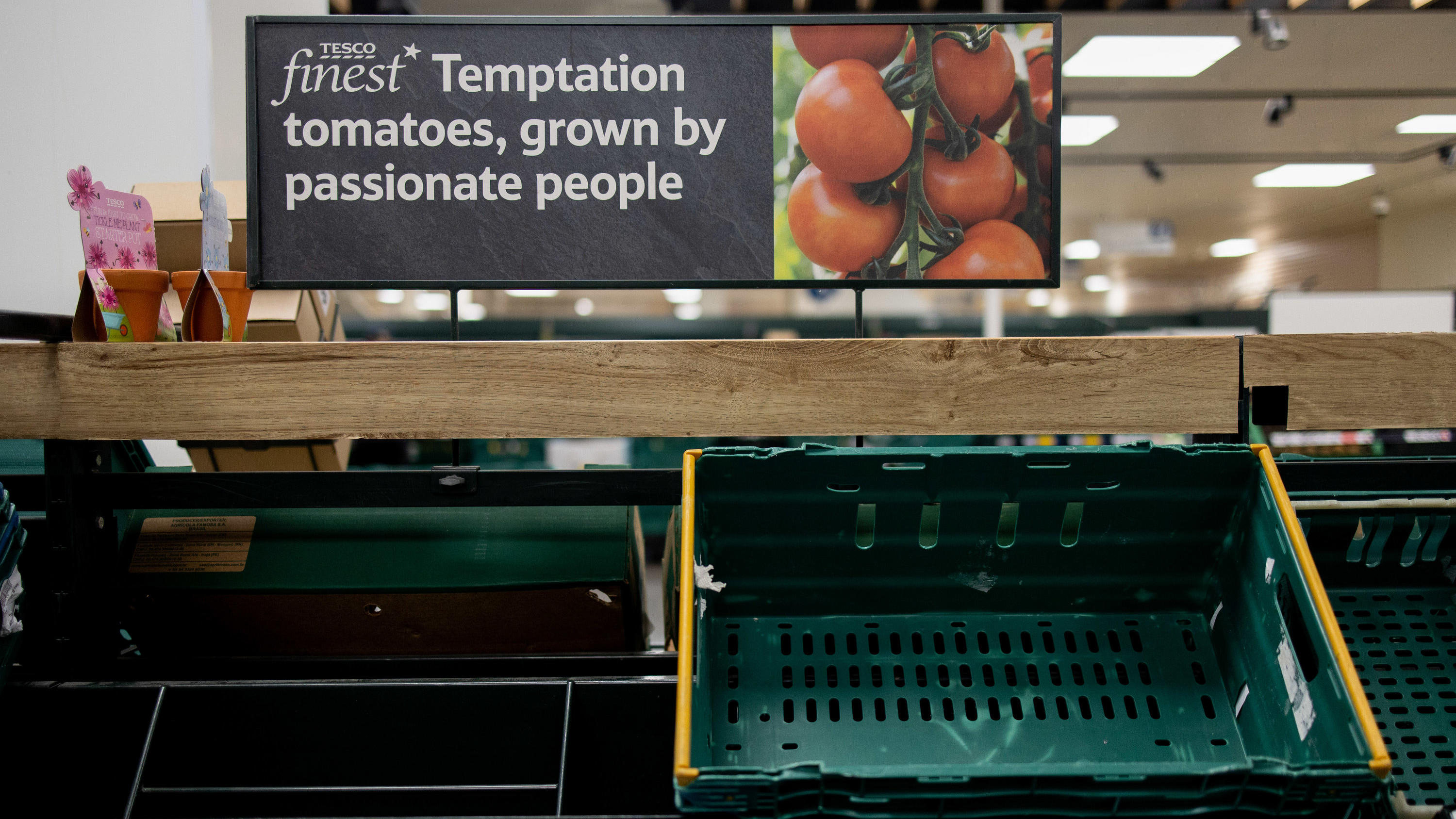  Großbritannien, London: Leeres Gemüseregal in einem Tesco-Supermarkt