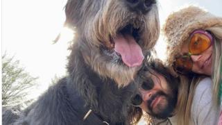 Heidi Klum und Tom und Bill Kaulitz trauern um ihren dritten Hund.