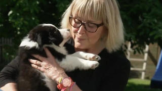 Rentnerin Claudia Fischer hat bereits fünf Hunde. Jetzt darf der sechste bei ihr einziehen: Bordercollie-Welpe  Moritz!