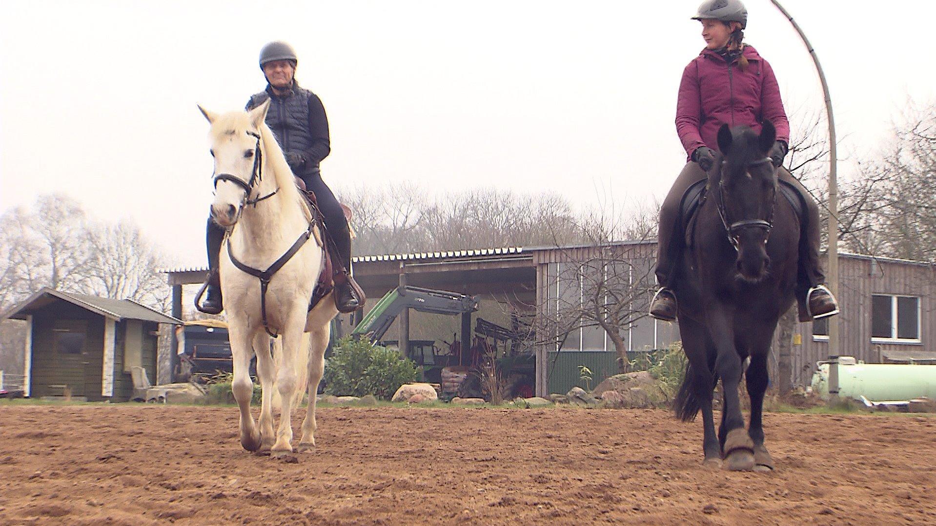 RTL hat Wolfgang Bahro beim Reittraining in Bad Segeberg begleitet.
