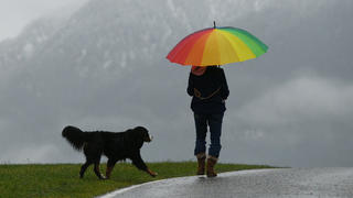 17.11.2019, Bayern, Garmisch-Partenkirchen: Eine Frau mit Regenschirm führt ihren Hund Gassi bei nasskaltem Wetter. Foto: Angelika Warmuth/dpa +++ dpa-Bildfunk +++