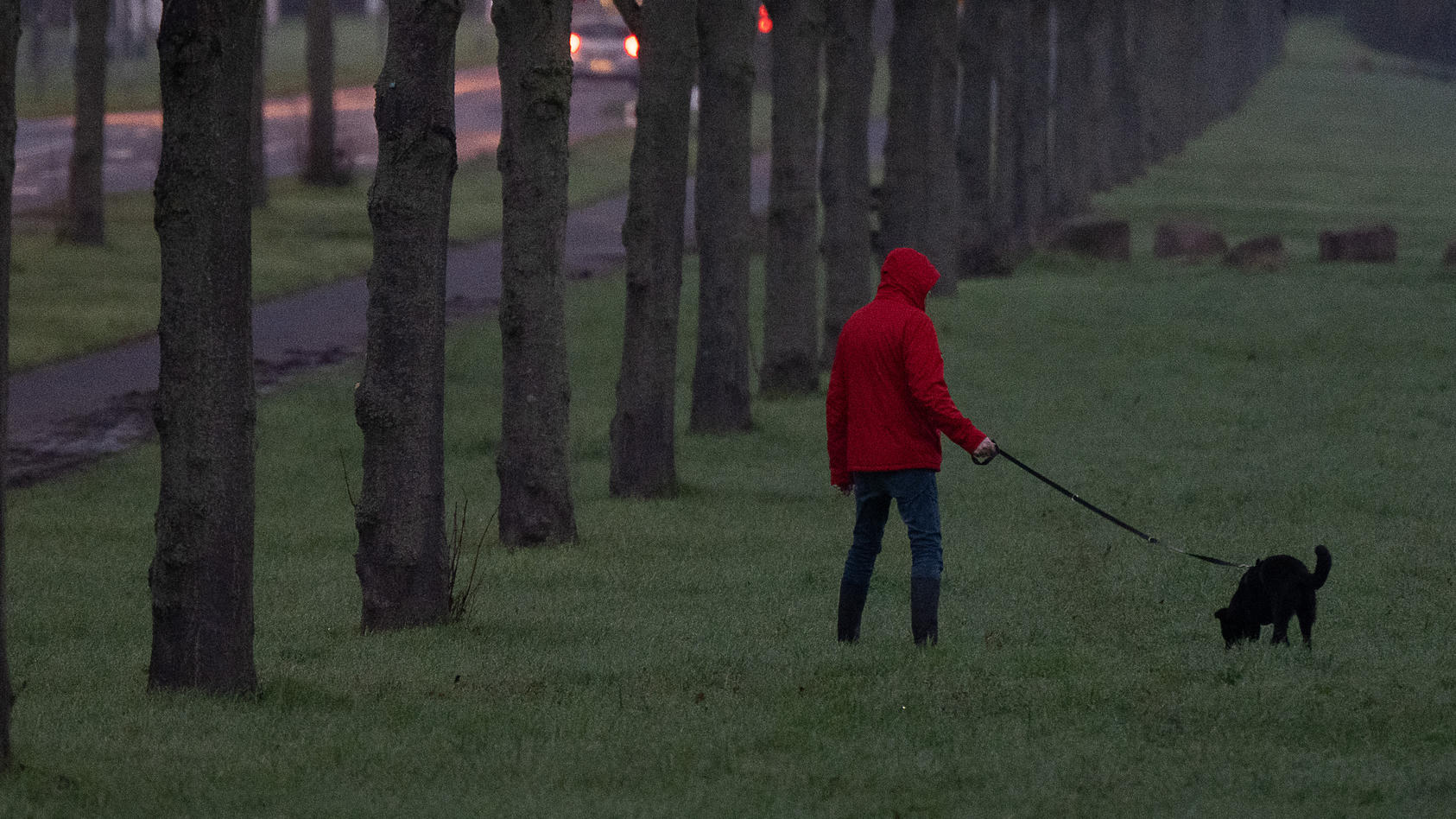 Beim abendlichen Spaziergang hinterlistig angegriffen - eine Horrovorstellung für Hundebesitzer. Doch das ist in England passiert - ähnlich wie es unser Motivbild darstellt.