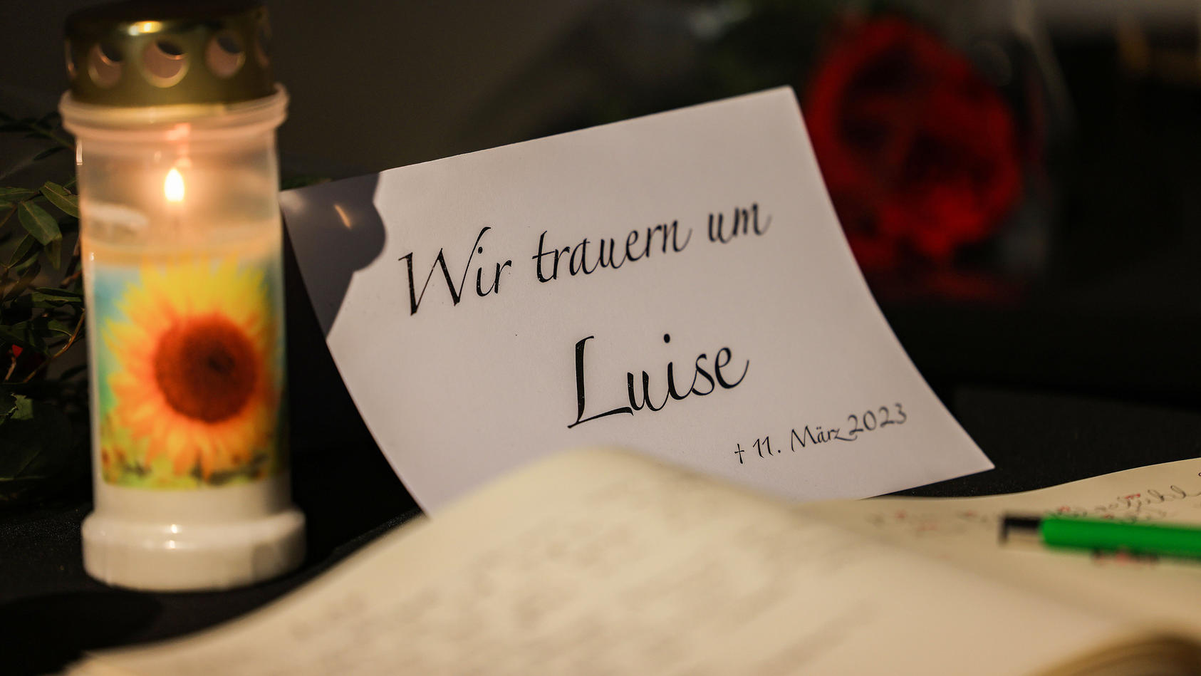 moderne-hexenjagd-polizei-scannt-postings-zu-luise-genau