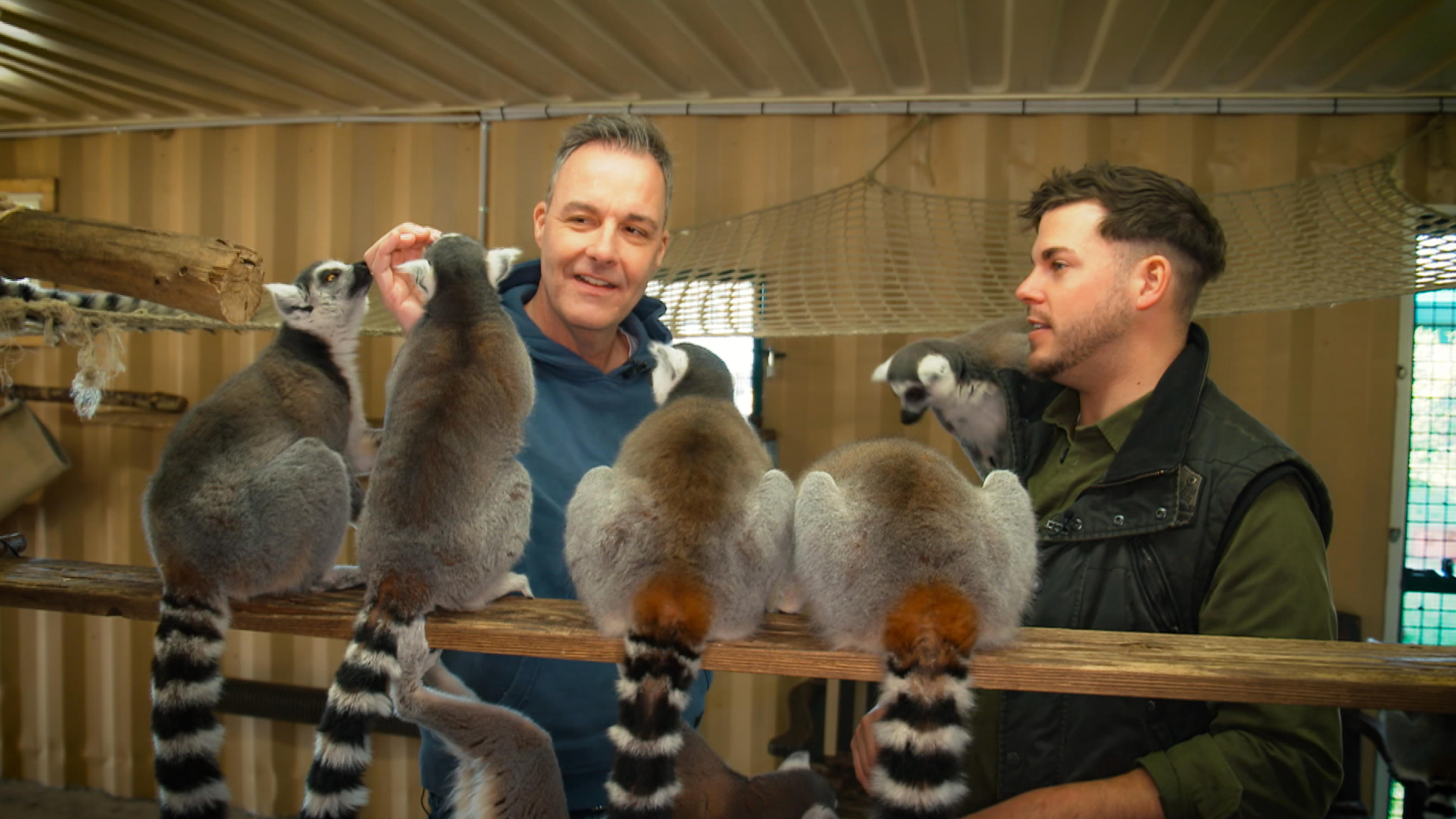 RTL-Dreh im Safariland Stukenbrock