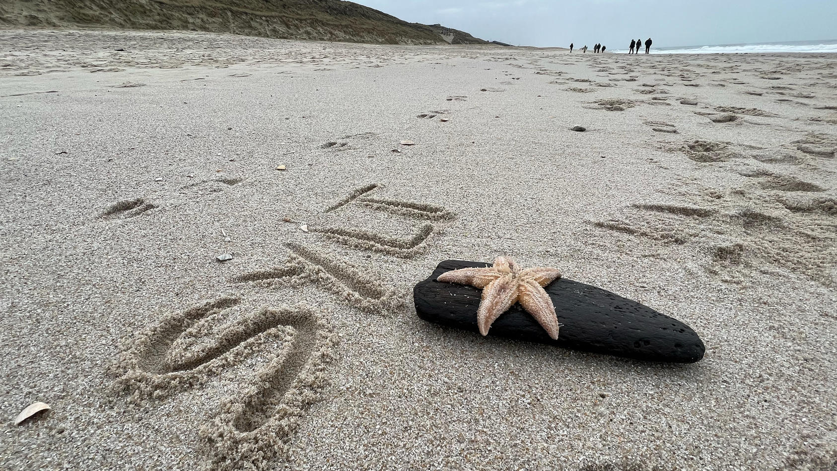 seesterne-am-strand-von-sylt
