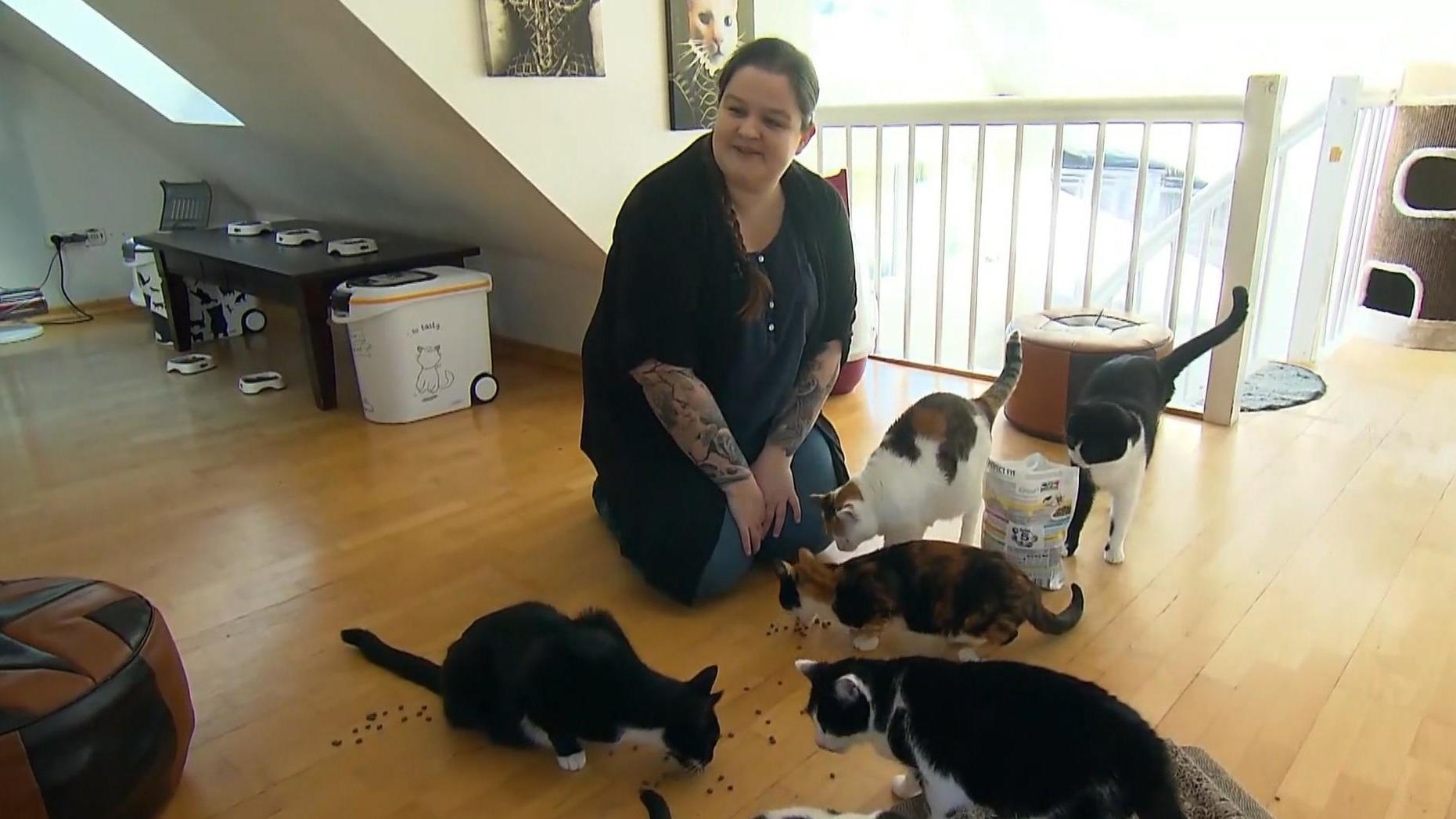 "Wer wird Millionär?"-Kandidatin Annika Joffel hat 15 ursprünglichen "unvermittelbaren" Katzen aus dem Tierheim ein neues glückliches Zuhause gegeben