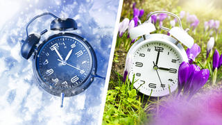 Zwei Wecker im Schnee und mit Frühlingsblumen, Symbolfoto für die Umstellung auf Sommerzeit / action press