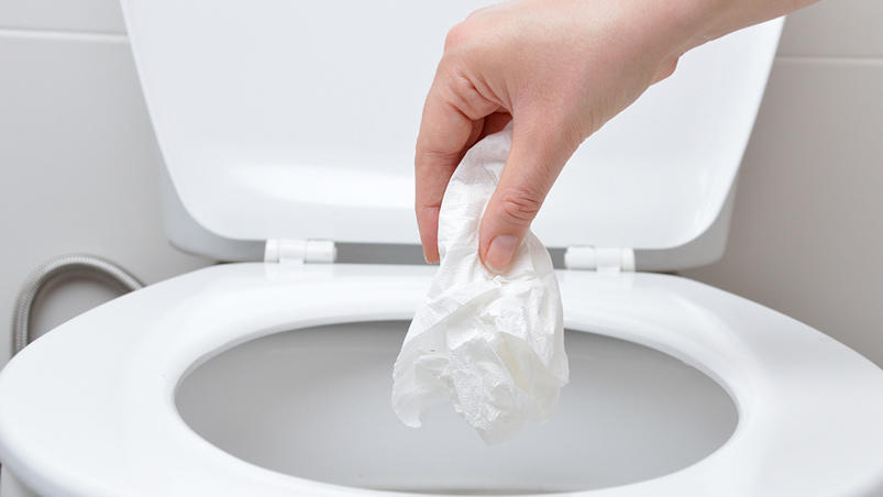 die-toilette-ersetzt-keinen-mulleimer