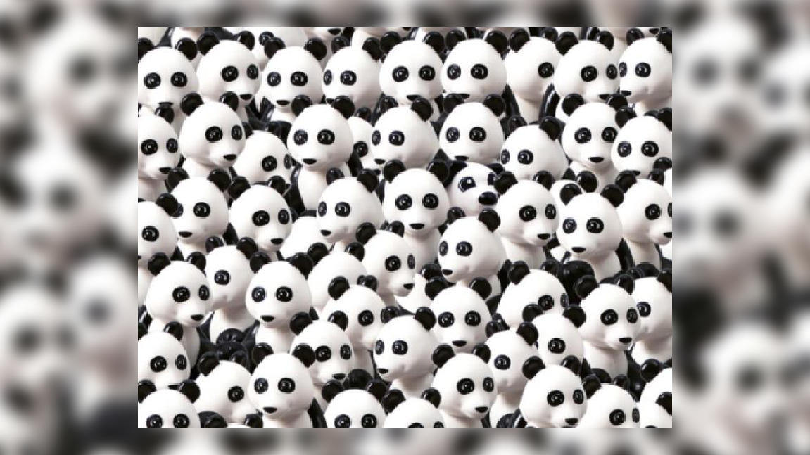 Jede Menge Pandas und nur ein Hund - doch wo versteckt er sich?