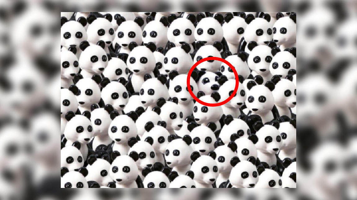 Optische Täuschung Auflösung