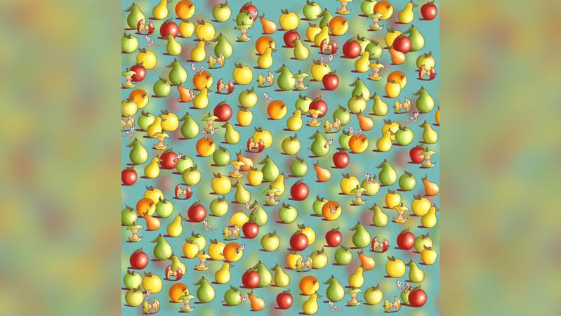 Auf dem Bild sieht man viele Äpfel und Birnen und dazwischen eine einzelne Zitrone, die versteckt ist.