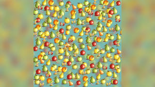 Auf dem Bild sieht man viele Äpfel und Birnen und dazwischen eine einzelne Zitrone, die versteckt ist.