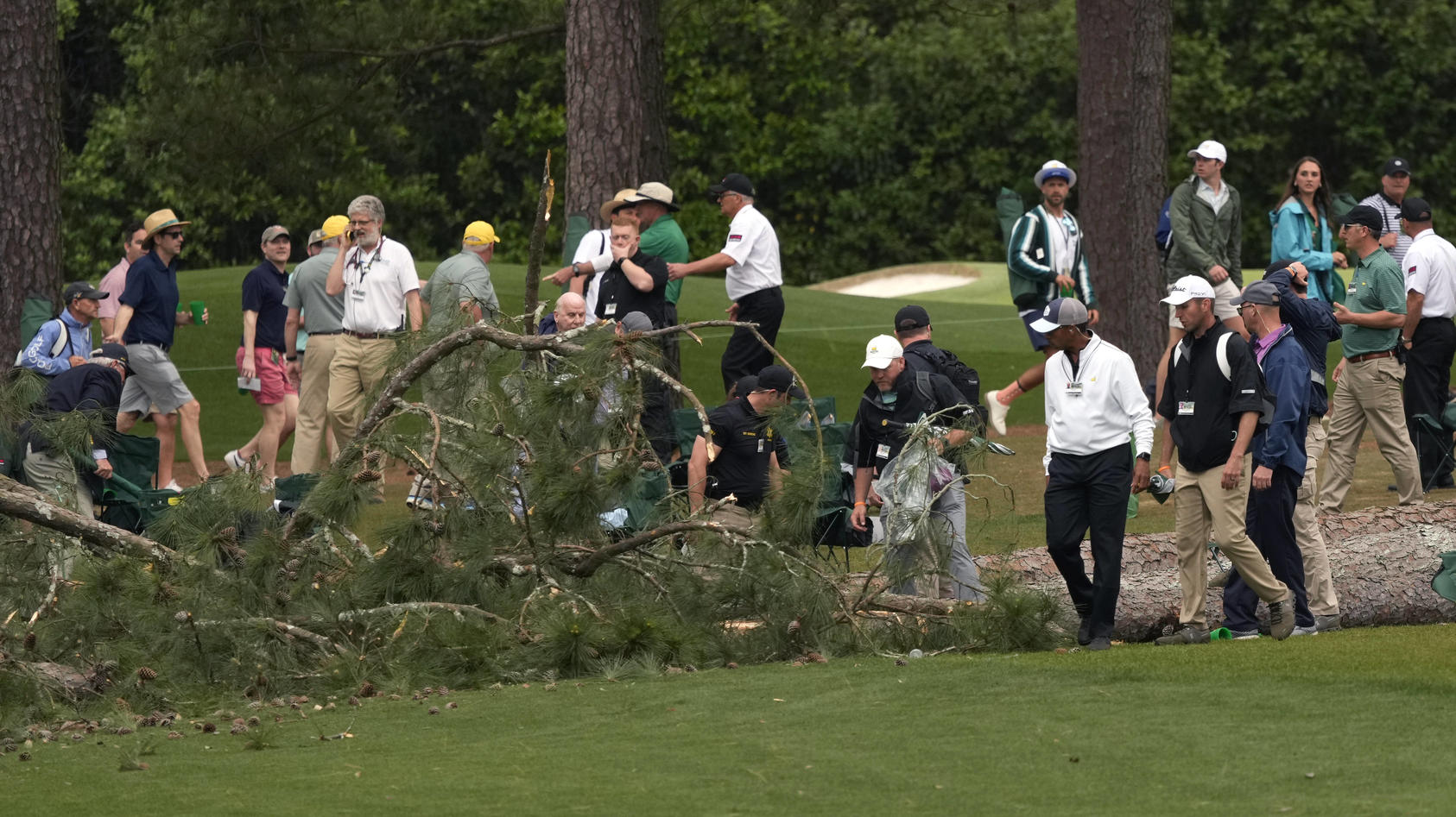 Dramatische Szenen bei Masters in Augusta Bäume knallen auf Golfplatz
