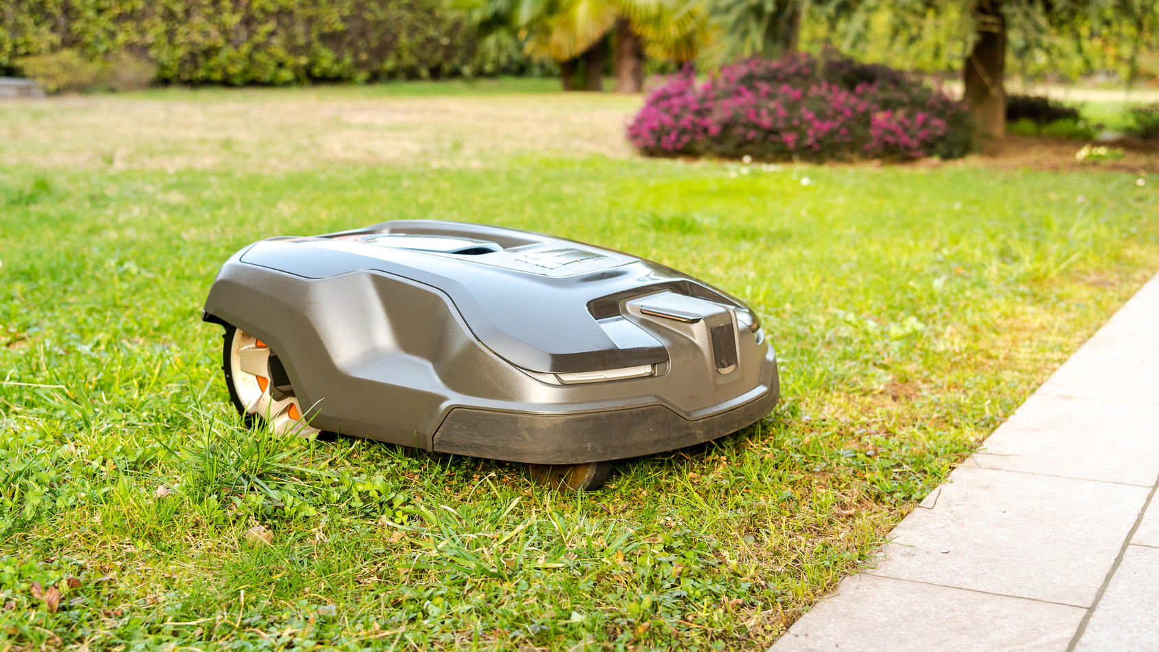 Günstige Mähroboter Was taugen Modelle unter 300 Euro?