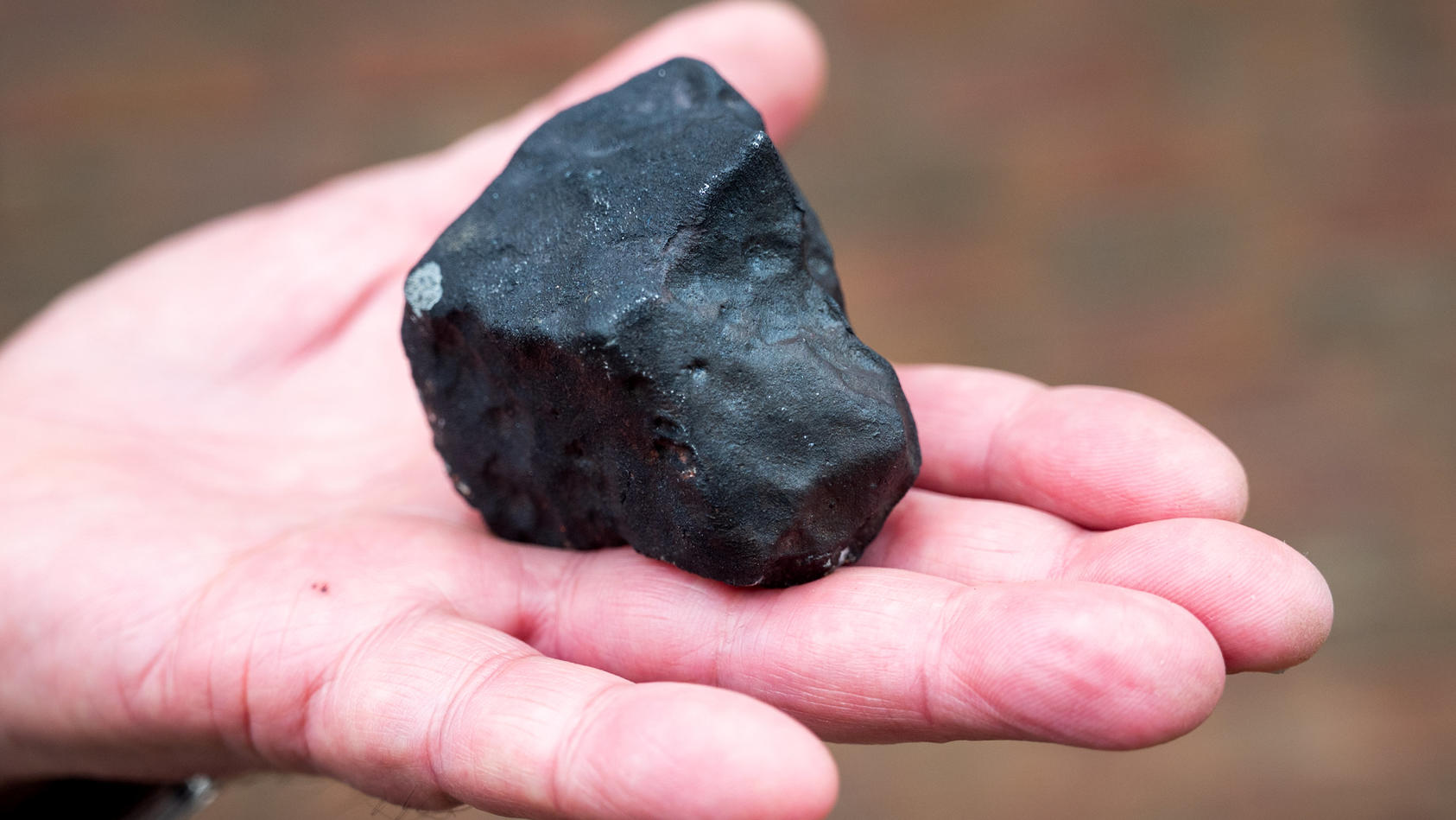 in-elmshorn-schleswig-holstein-regnete-es-ende-april-meteoriten-eine-familie-konnte-deshalb-jetzt-reich-werden