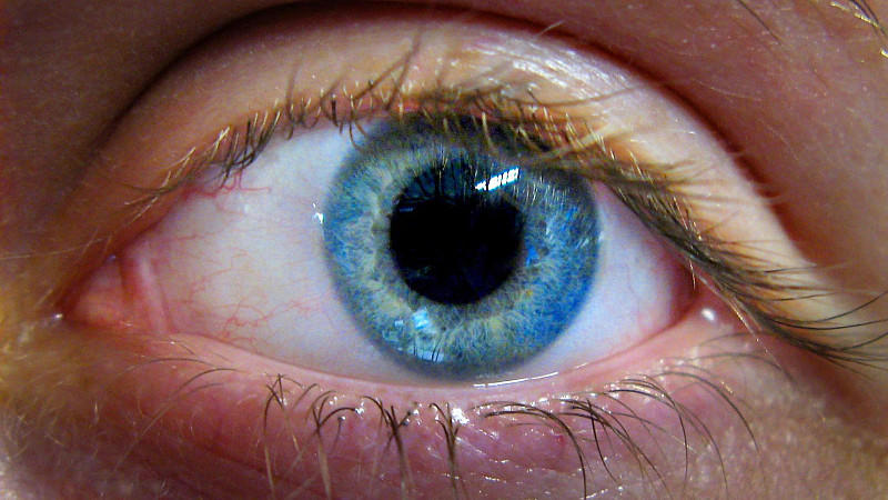 Menschliches Auge mit strahlend blauer Iris.